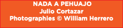  NADA A PEHUAJO Julio Cortazar Photographies © William Herrero